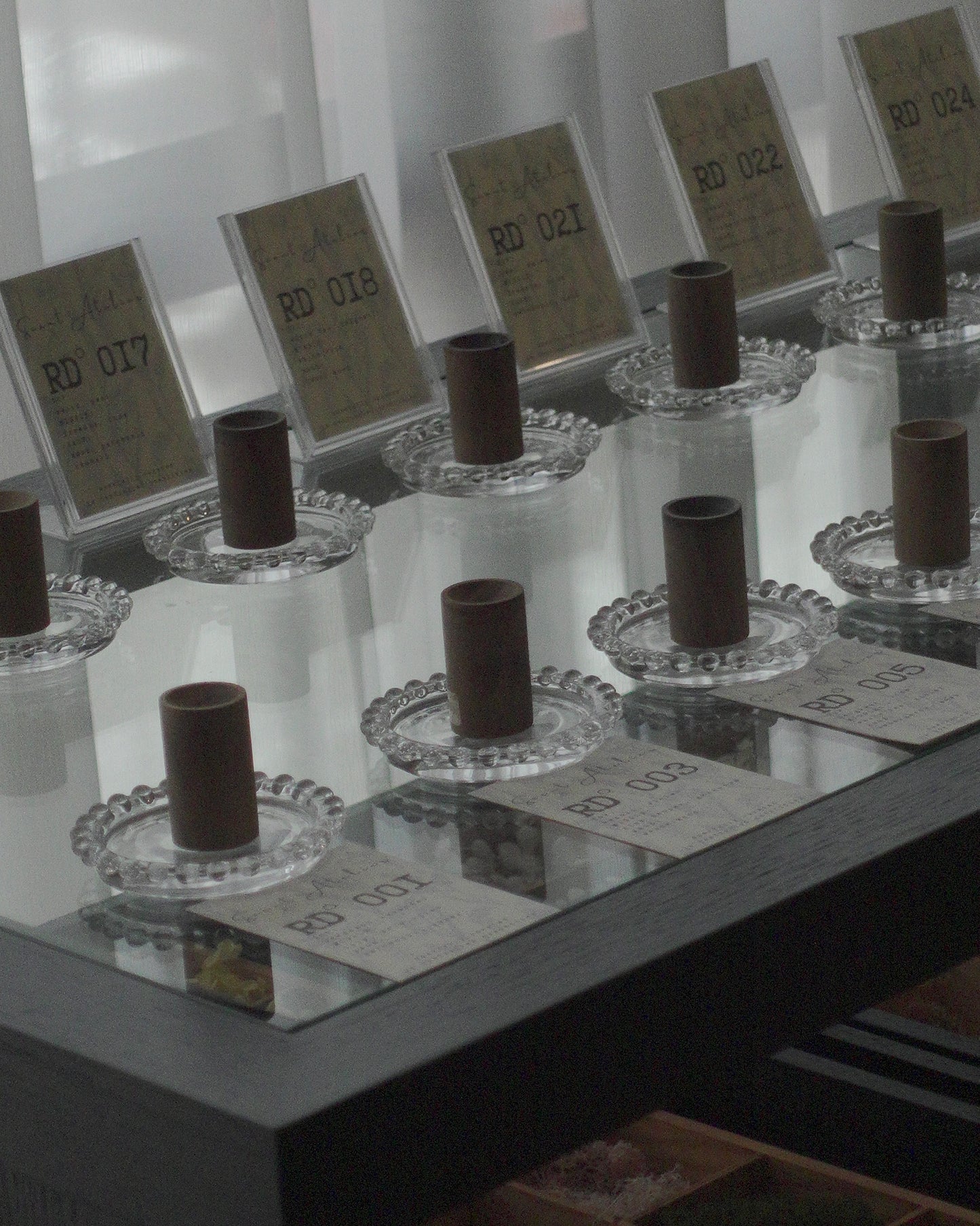 Herbarium Reed Diffuser Workshop